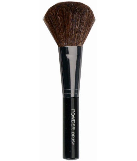 Blossom Powder Brush – Powder Brush