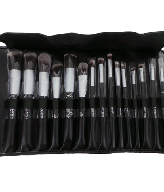 CITY COLOR 15 Pc Synthetic Brush Set With Case