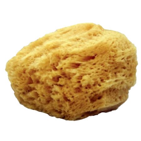 mehron Natural Sea Sponge Applicator - Yellow