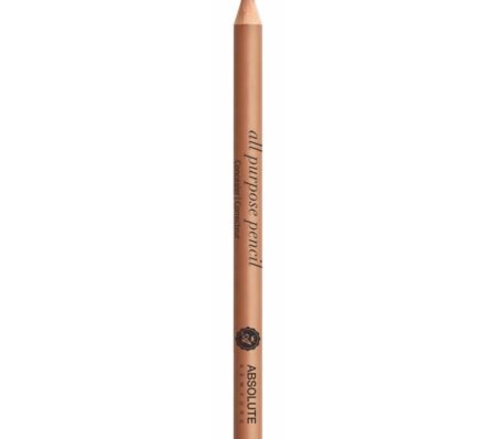 ABSOLUTE All Purpose Pencil Concealer