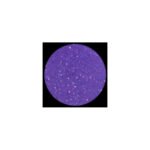 KLEANCOLOR American Eyedol (Wet / Dry Baked Eyeshadow)