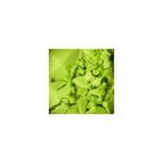 NYX Single Eye Shadow 2