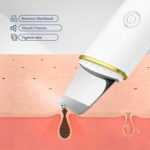 Pore Cleansing Facial Spatula