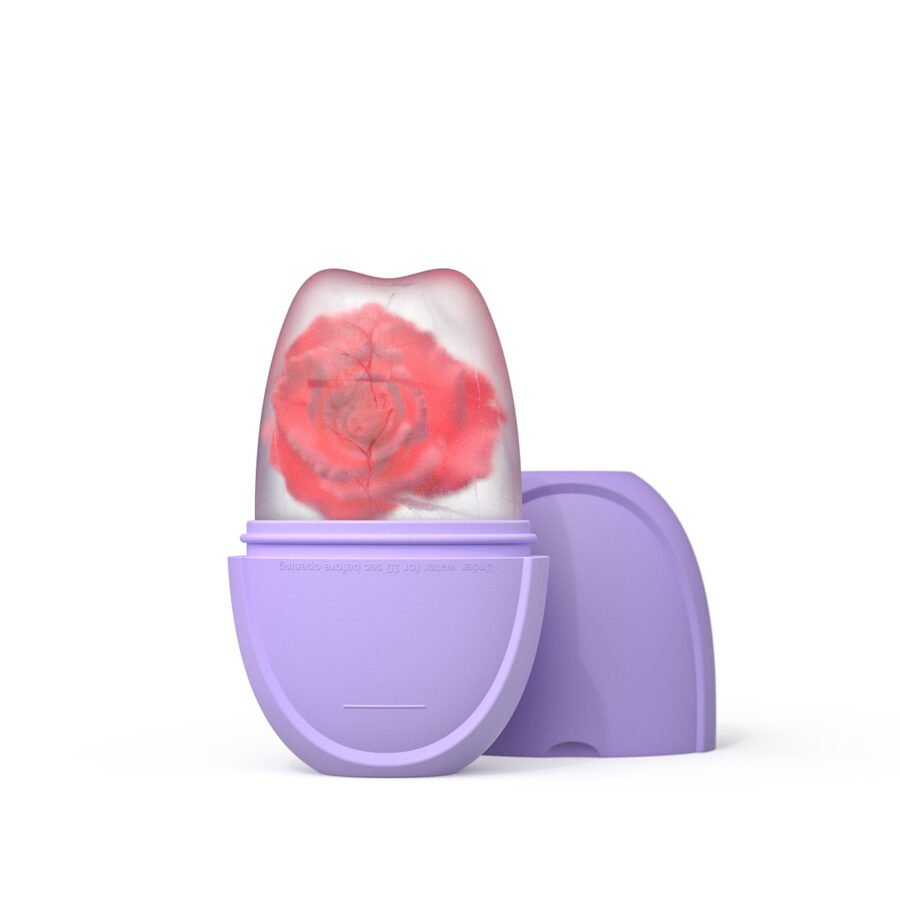 Face Application Ice Tray Beauty Supplies Mold
