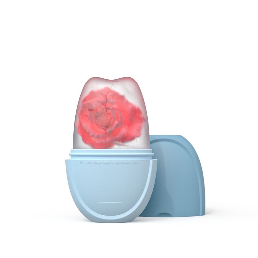 Face Application Ice Tray Beauty Supplies Mold